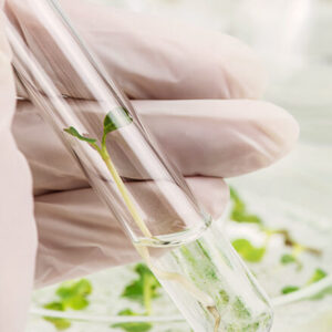 Pure Oil 100 - Image 3